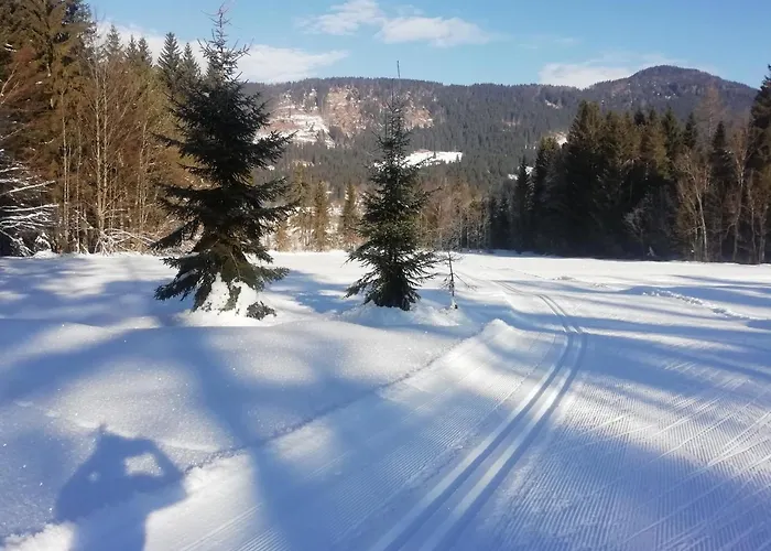 Julija 3 Sunny Apartma Kranjska Gora