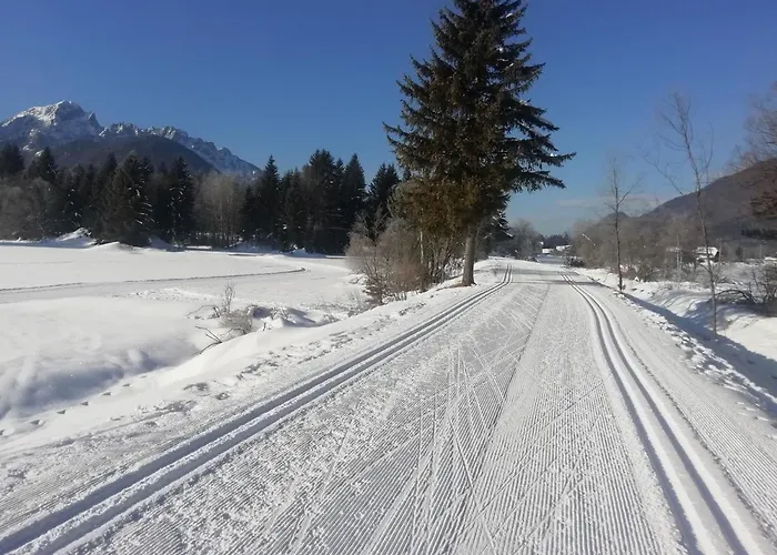 Julija 3 Sunny * Kranjska Gora